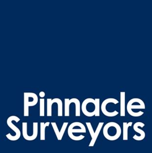 pinnacle surveyors|pinnacle satisfaction survey.